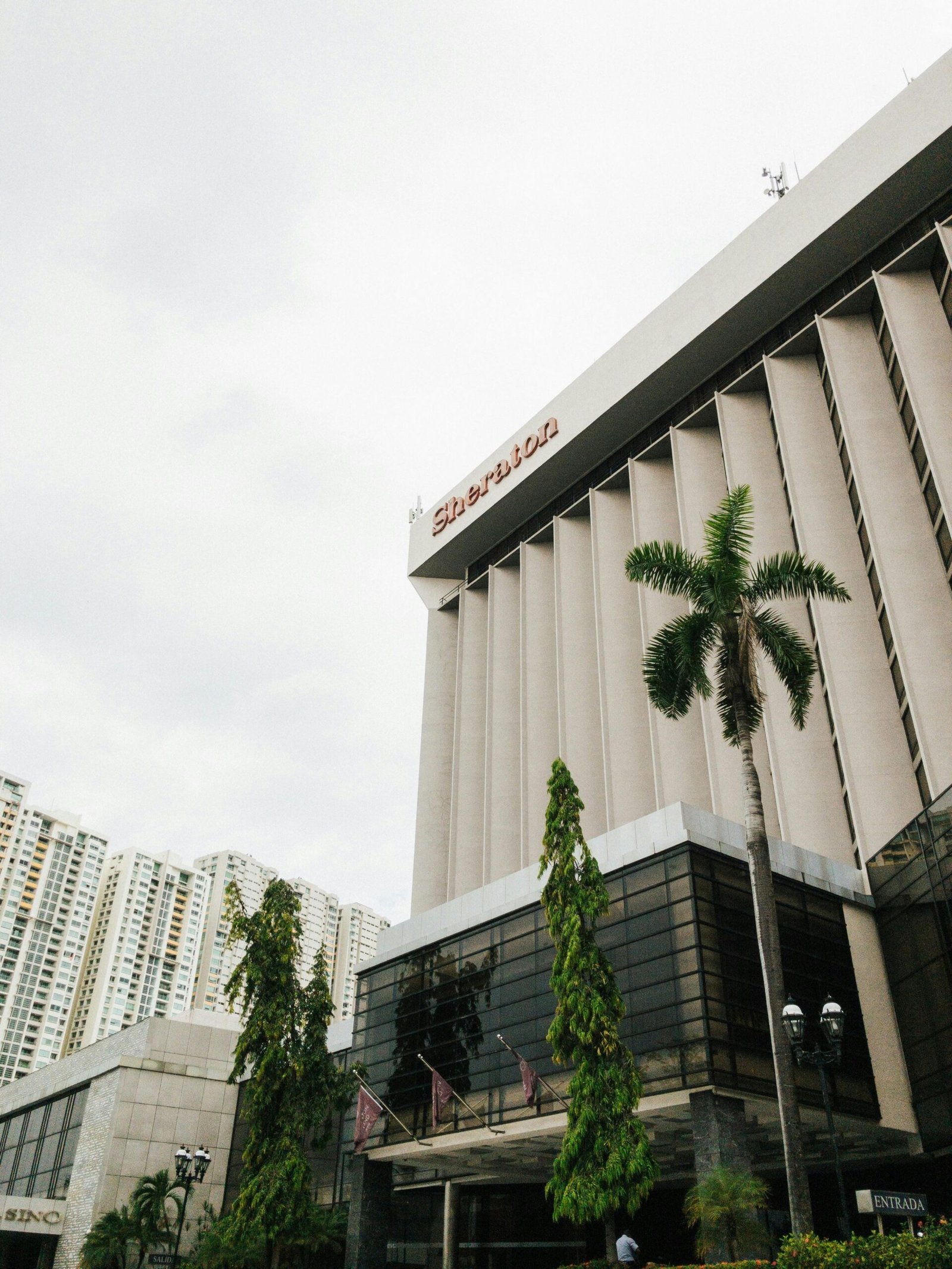 Captivating low-angle shot of Sheraton Hotel amidst a city skyline and lush palm trees.